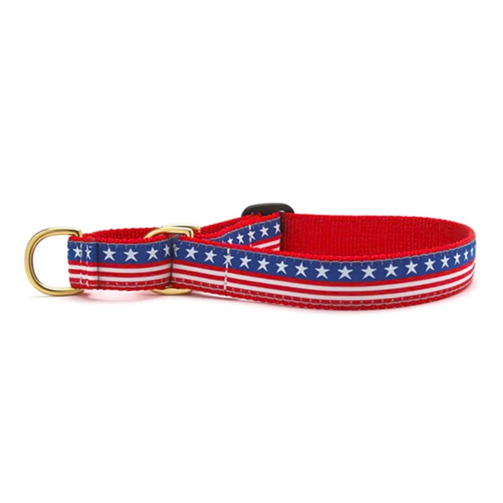 Stars And Stripes Martingale Dog Collar -New